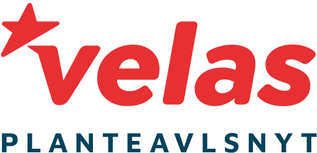 Velas Planteavlsnyt